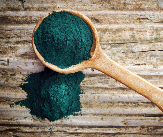Chlorella