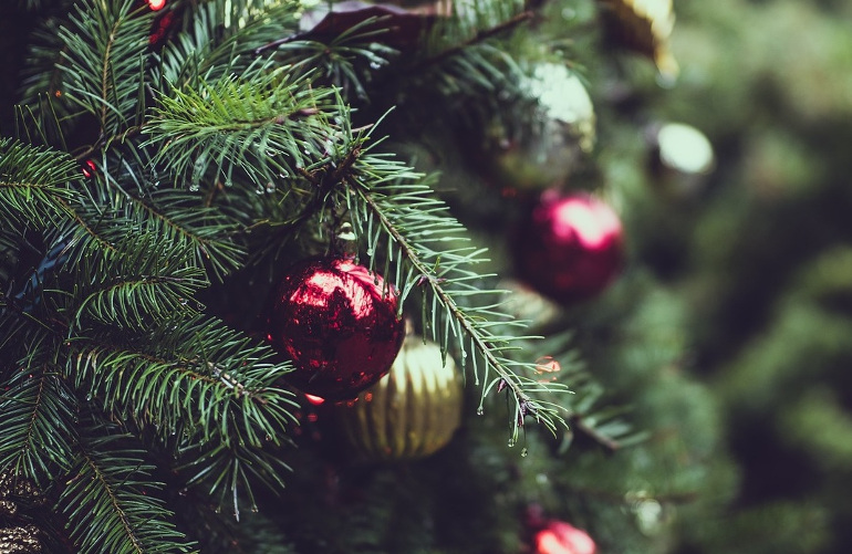 Árbol de navidad para unas navidades ecológicas