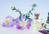 Aceites esenciales para resfriados. Alivia los síntomas