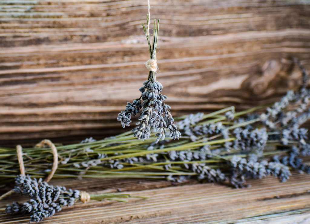 Ramillete de lavanda para decoración navideña casera