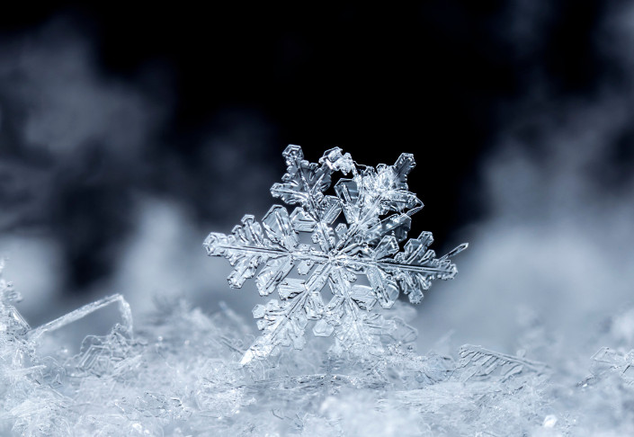 Copo de nieve