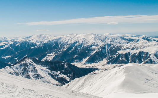 Importancia de los ecosistemas de nieve